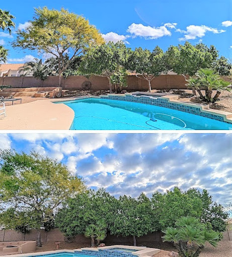 Bynum Tree and Landscape