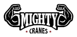 Mighty Cranes - Crane Hire Brisbane