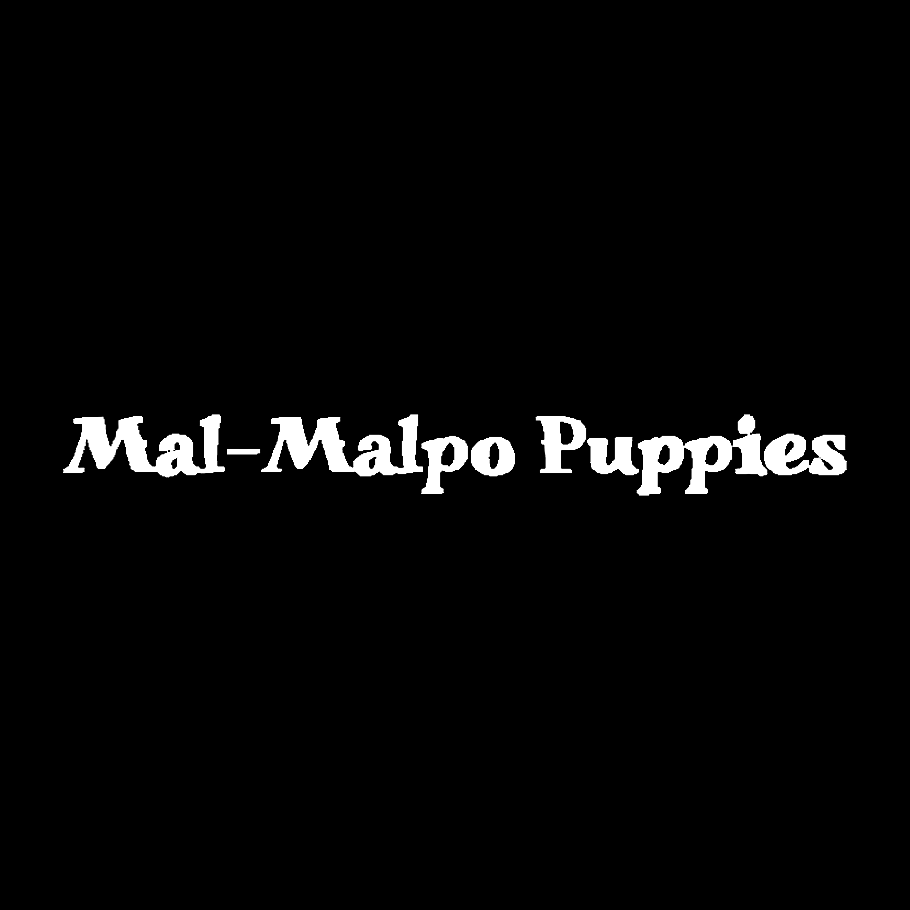 Mal-Malpo Puppies