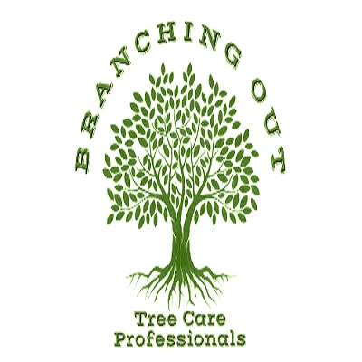 Branching Out Tree Care Professionals