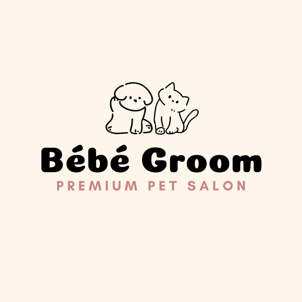 Bébé Groom