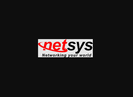 netsys america llc