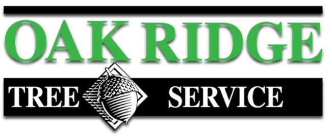 Earl's Oak Ridge Tree Service