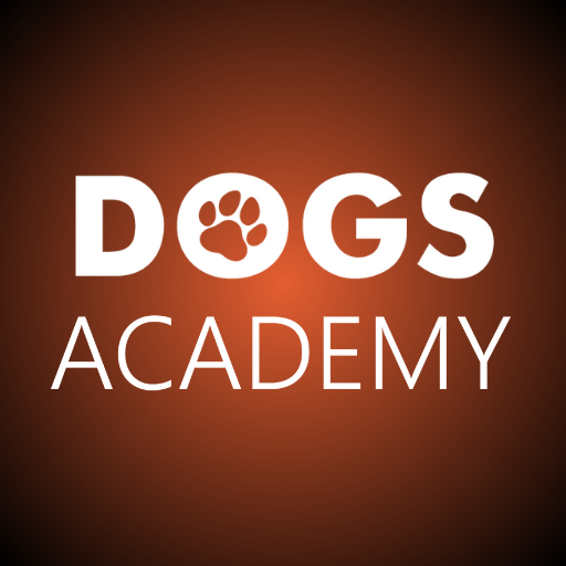 Dogs Academy