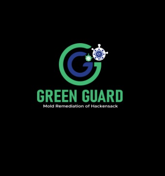 Green Guard Mold Remediation Hackensack