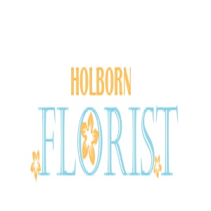 Holborn Florist