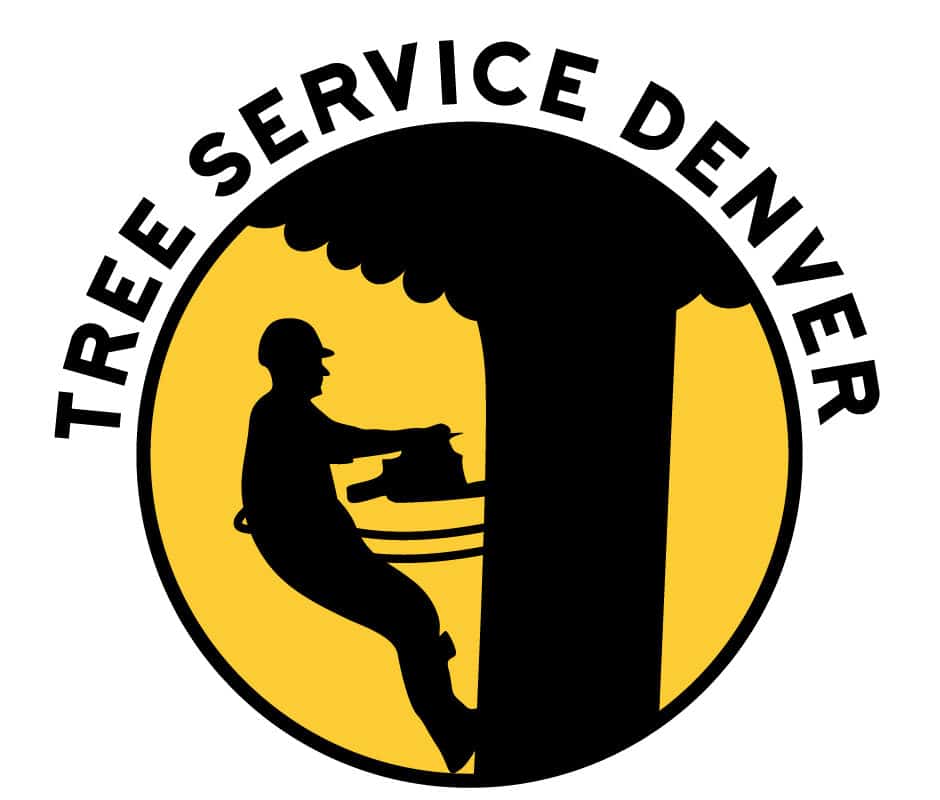 Tree Service Denver LLC