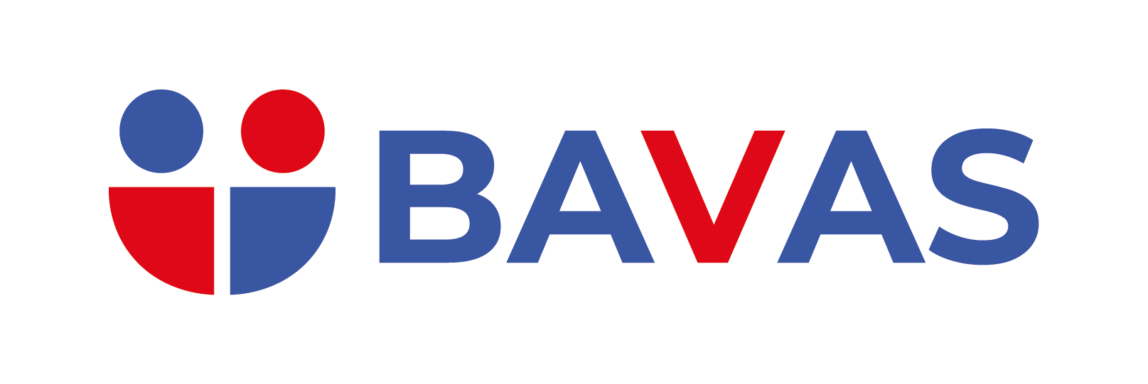 BavasBusinessSolutions