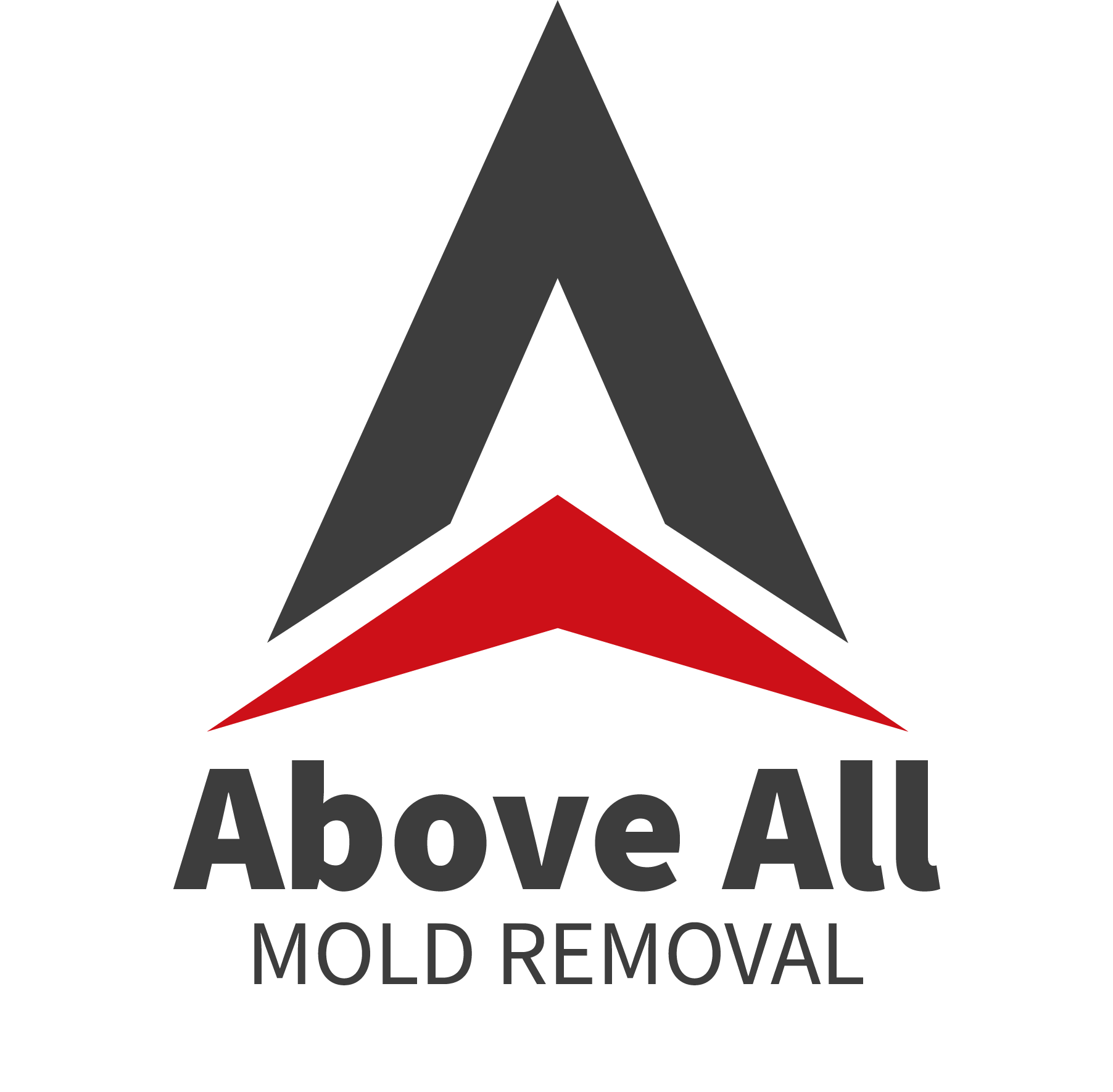 Above All Mold Removal