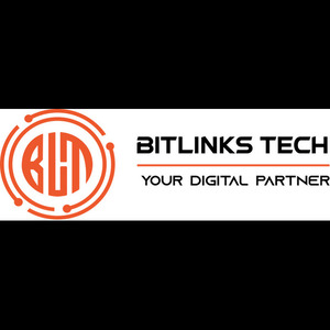 Bitlinks Tech USA