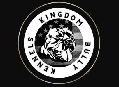 Kingdom Bully Kennels