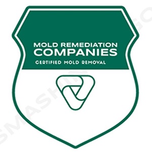 Torrance Mold Remediation Pros