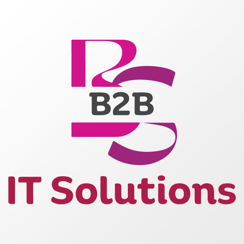 b2b it solution