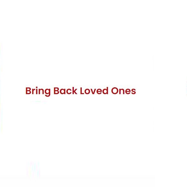 Bring Back Loved Ones