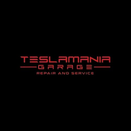 Tesla mania Garage