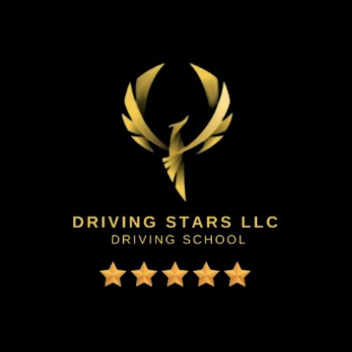 Driving Stars LLC