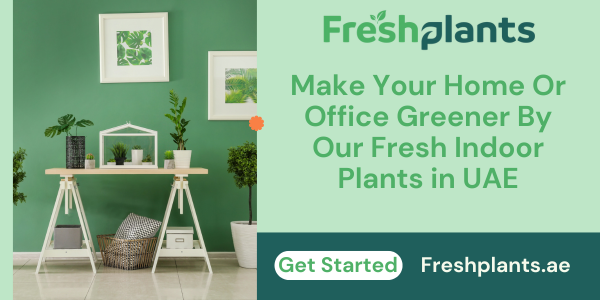 Fresh Plants