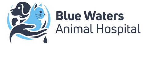 Blue Waters Animal Hospital