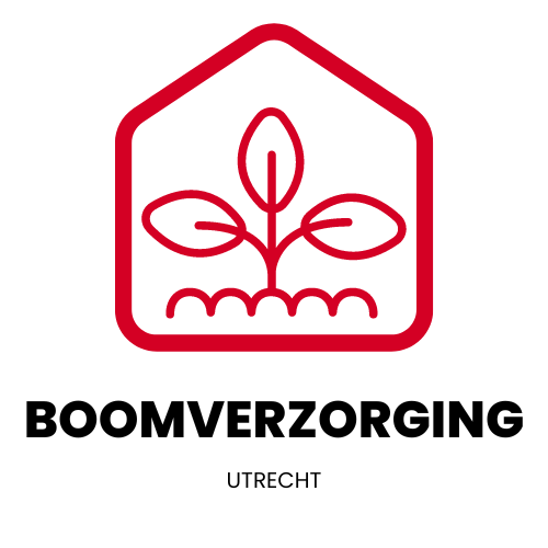 Boomverzorging Utrecht