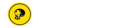 Possum Removal Adelaide