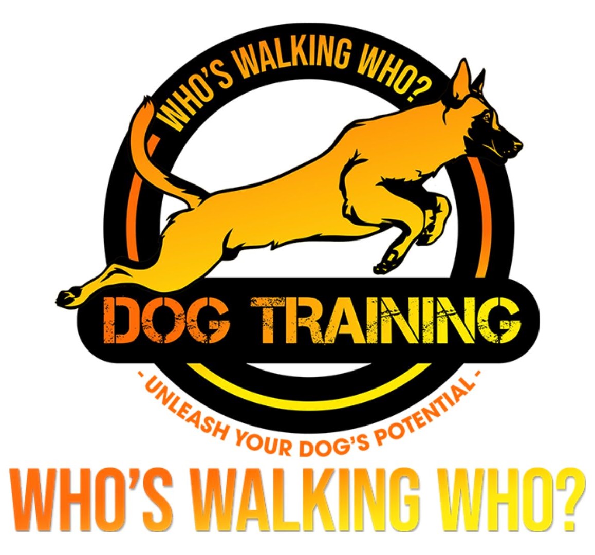 Who's Walking Who? Dog Training Utah