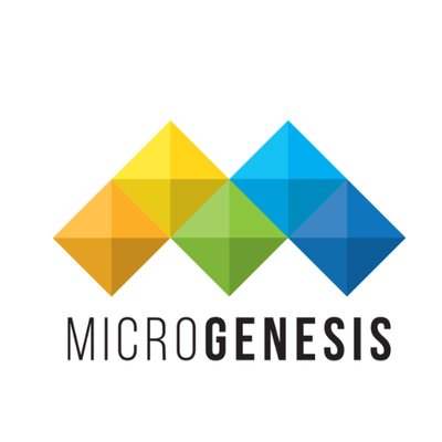 MicroGenesis Tech Soft