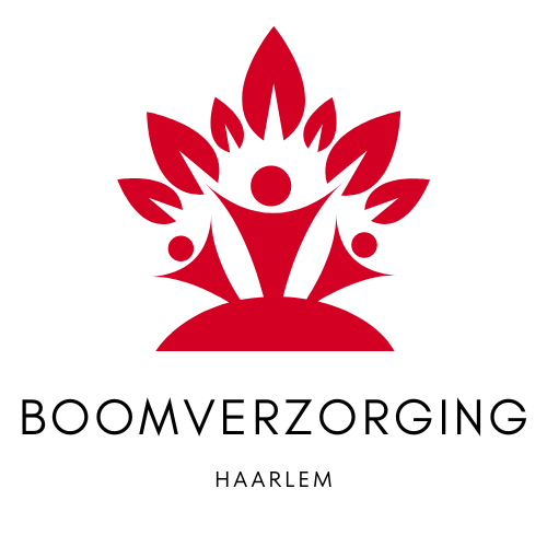 Boomverzorging Haarlem