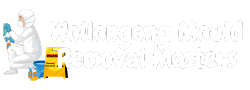 Wollongong Mould Removal Masters