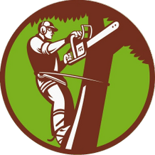 Jr & Dubon Tree Service