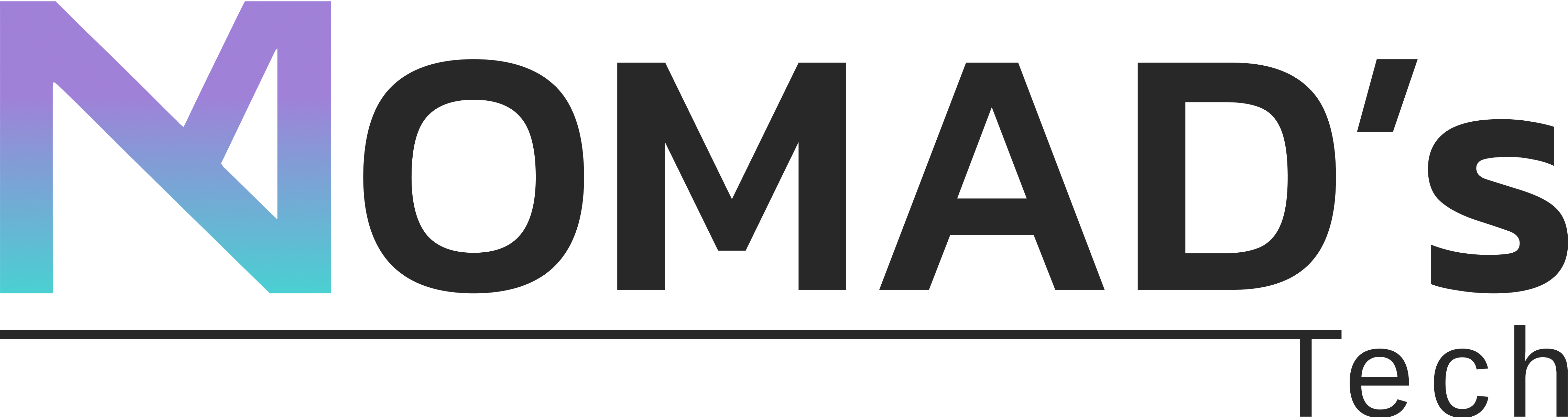 Nomads Tech- IT Consulting Company