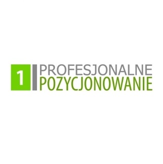 Profesjonalne Pozycjonowanie