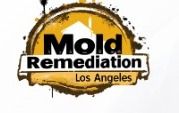 Mold Remediation Los Angeles