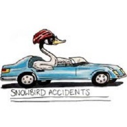 Snowbird Accidents