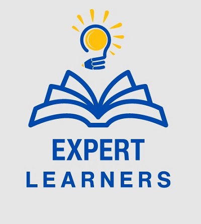 Expert Learners