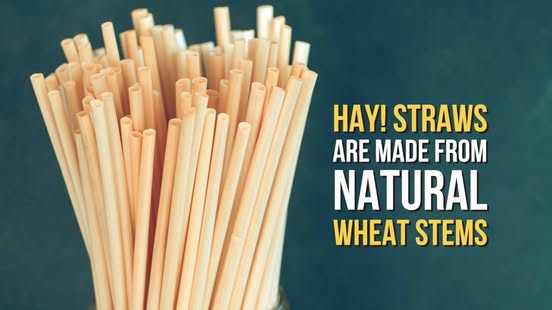 Hay Straws
