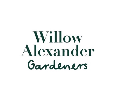 Willow Alexander Cleaners