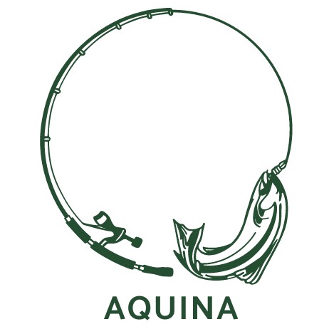 Aquina Flies