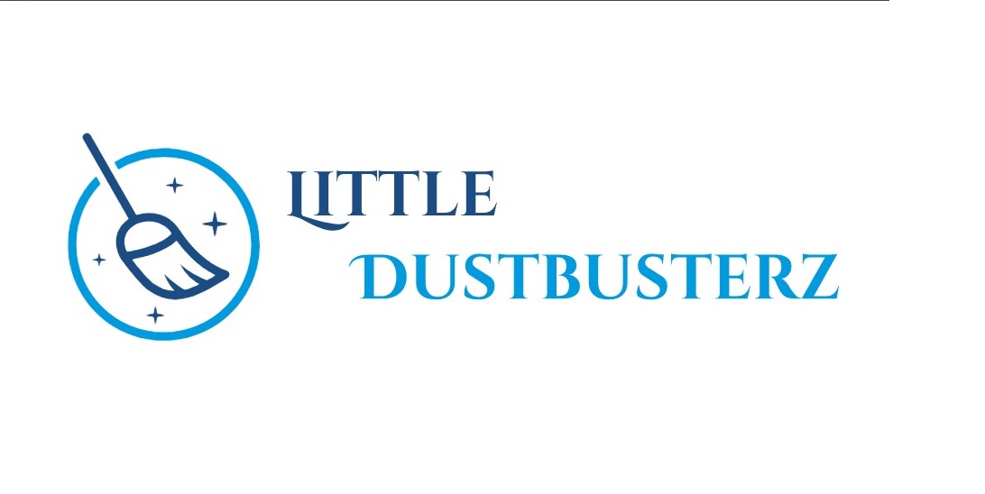 Little Dustbusterz