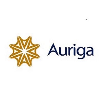 auriga international management consultants