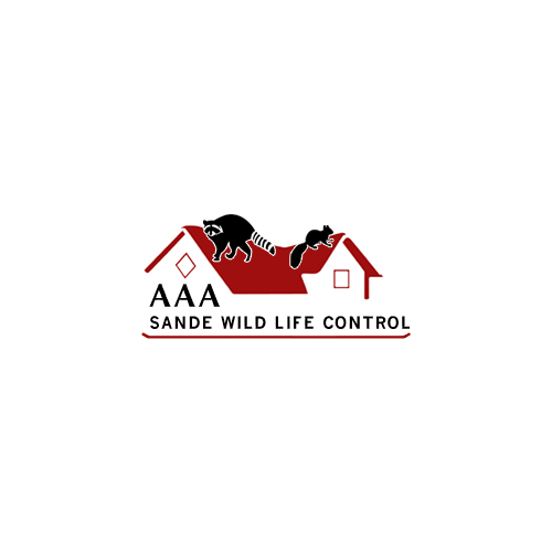 AAA Sande Wildlife Control