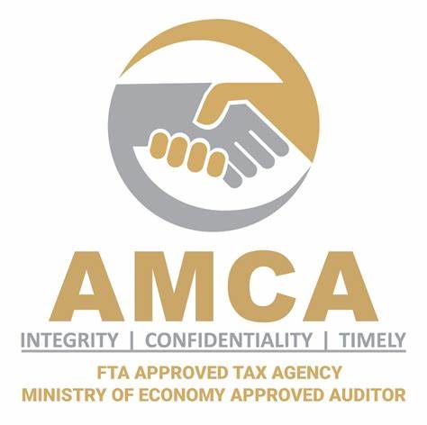 amca auditing and business advisors