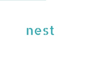 Nest Camera Login