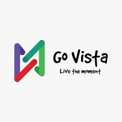 Go Vista India