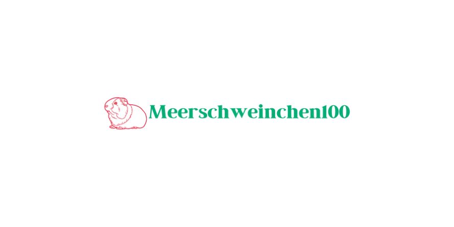 Meerschweinchen100