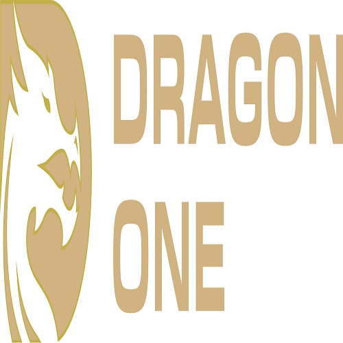 Dragon One LLC