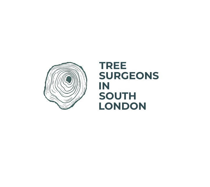 Tree Surgeons in South London