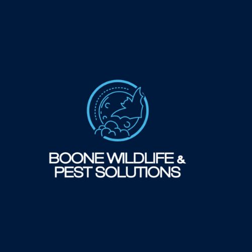 Boone Wildlife and Pest Solutions