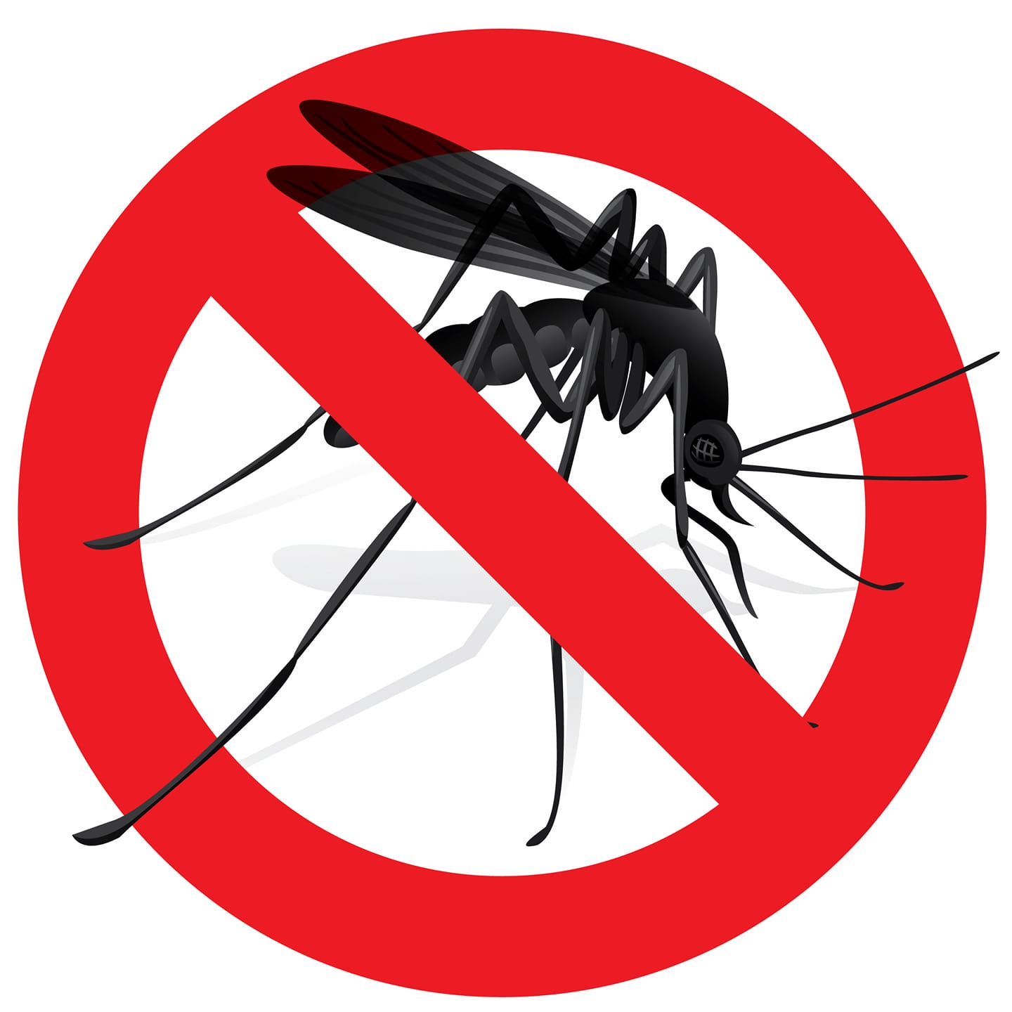 RYAN'S MOSQUITO & TICK CONTROL LLC