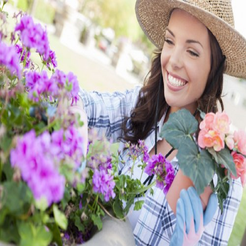 Garden Decking Service