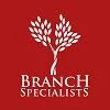 Branch Specialists Tree Service Buffalo NY
